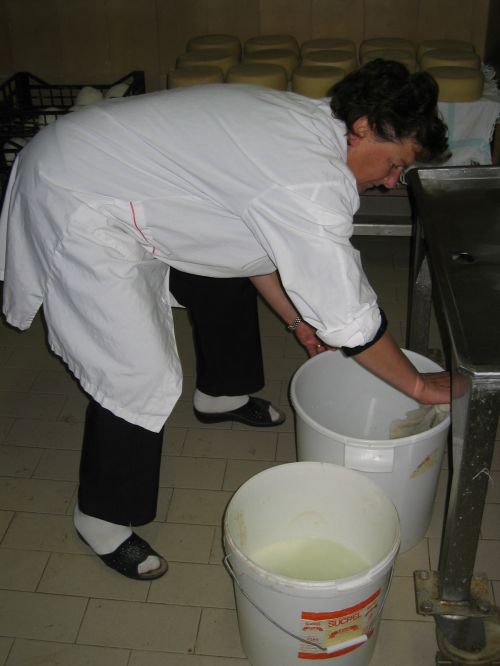 scuola di formaggio-27.JPG